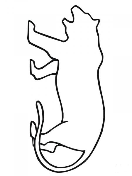 Tiger Outline coloring page image