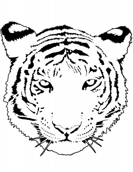 Tiger Portrait coloring page image