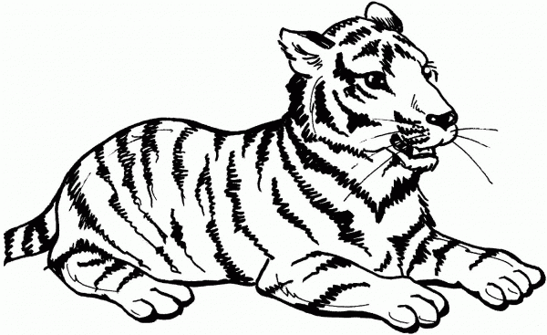 Tiger Sits coloring page image