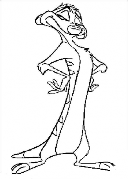 Timon  coloring page image