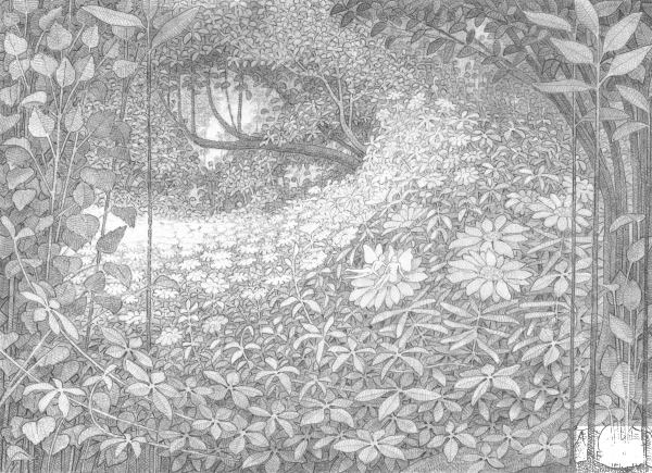Tiny Fairies in the Forest coloring page image