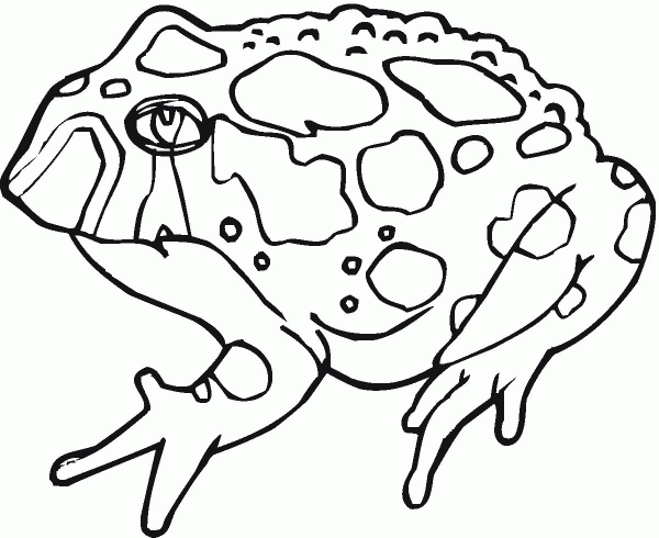 Toad 10 coloring page image