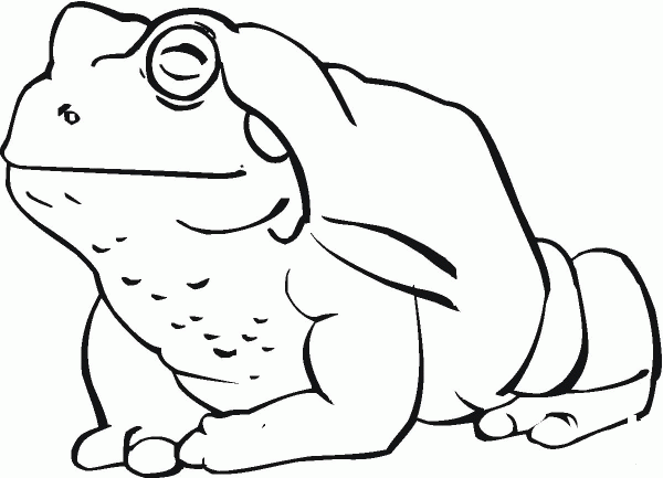 Toad 11 coloring page image