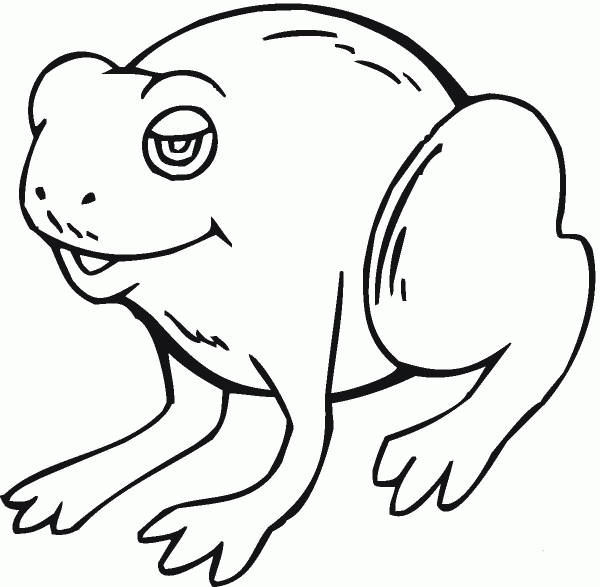 Toad 4 coloring page image