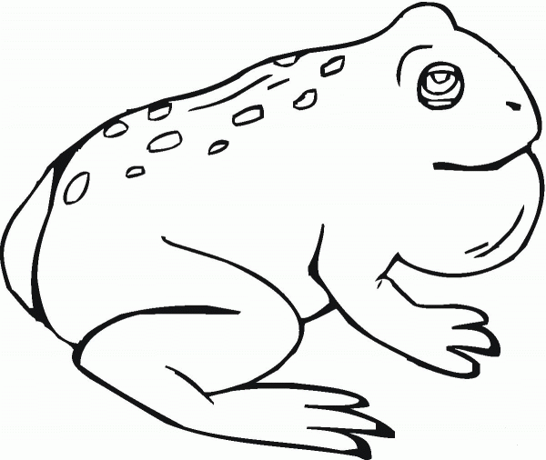 Toad 8 coloring page image