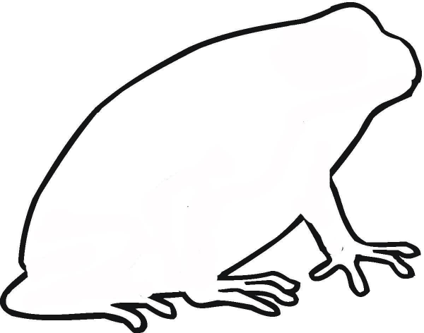 Toad Outline  coloring page image