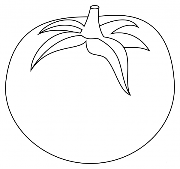 Tomato coloring page image
