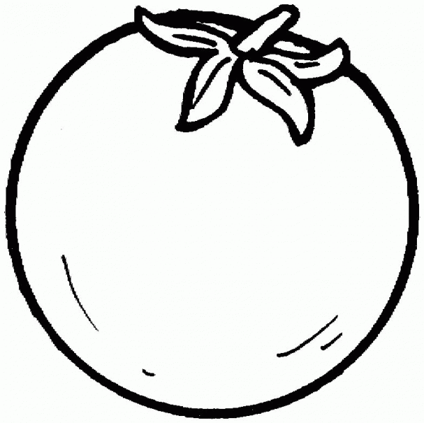 Tomato coloring page image