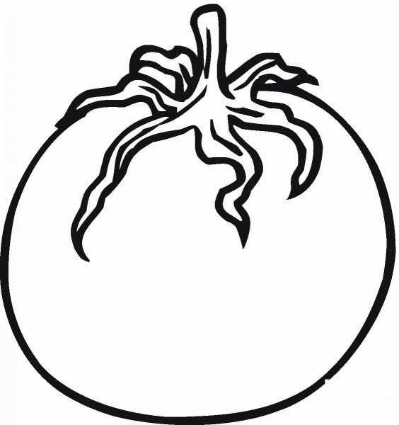 Tomato coloring page image