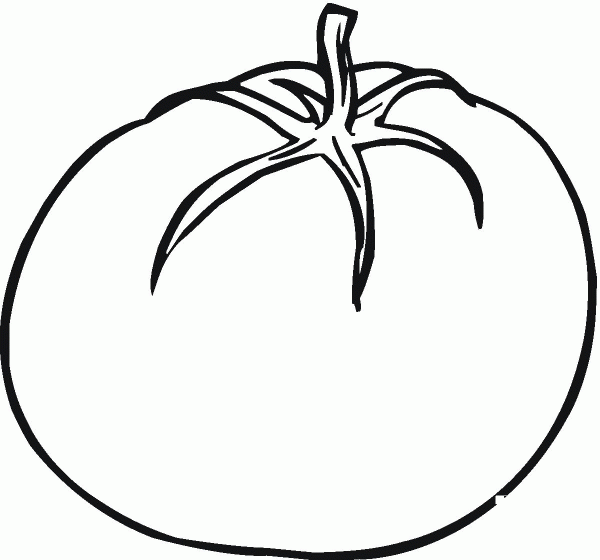 Tomato coloring page image