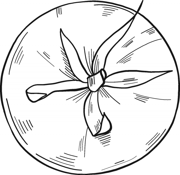 Tomato coloring page image