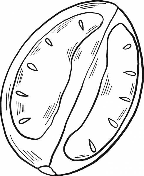 Tomato Slice coloring page image