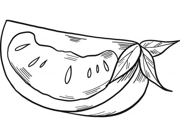 Tomato Slice coloring page image