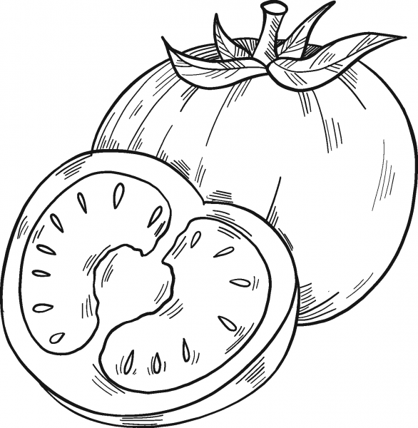 Tomatoes coloring page image