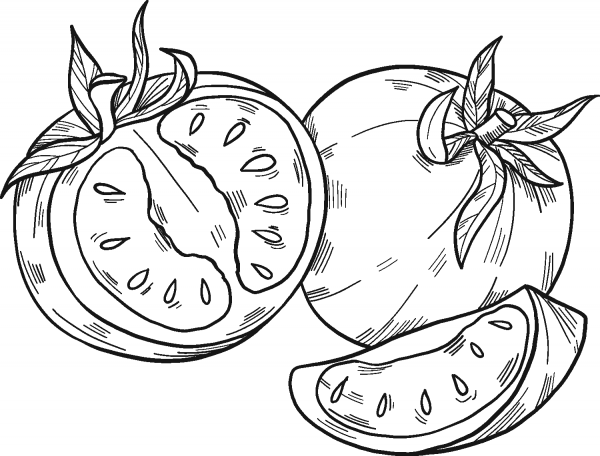 Tomatoes coloring page image