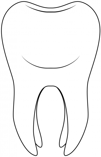 Tooth coloring page image