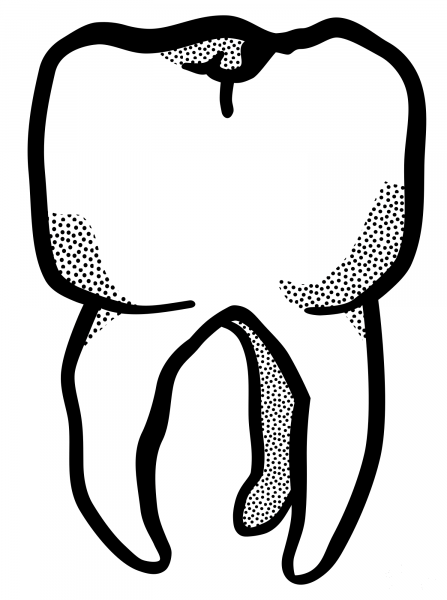 Tooth coloring page image