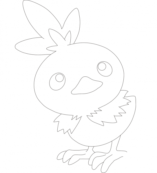 Torchic coloring page image