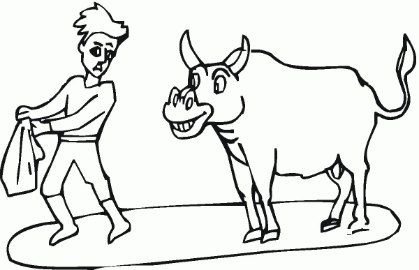 Toreador and bull coloring page image