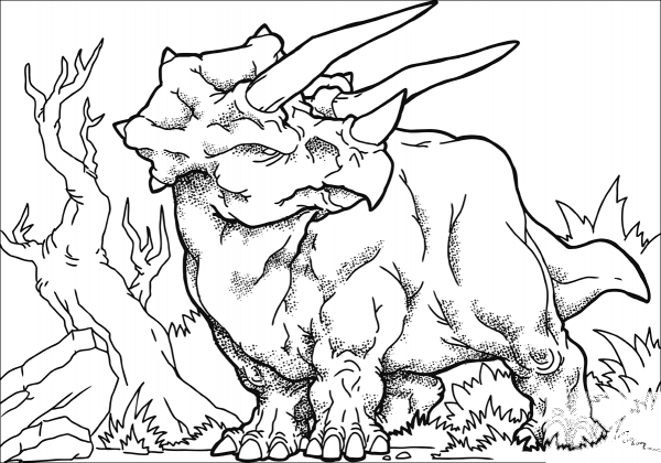 Torosaurus coloring page image