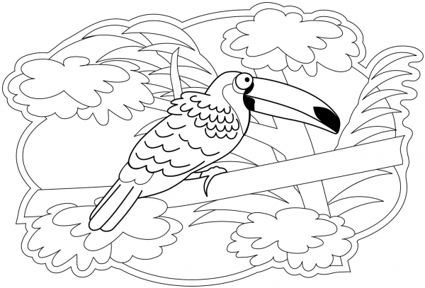 Toucan coloring page image
