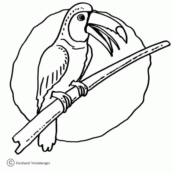 Toucan coloring page image