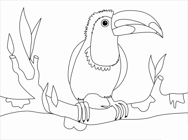 Toucan coloring page image