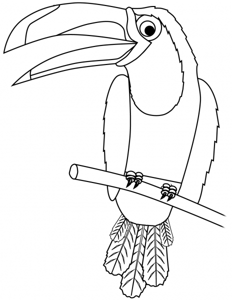 Toucan  coloring page image