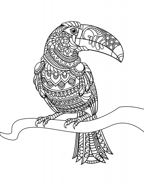 Toucan Zentangle coloring page image
