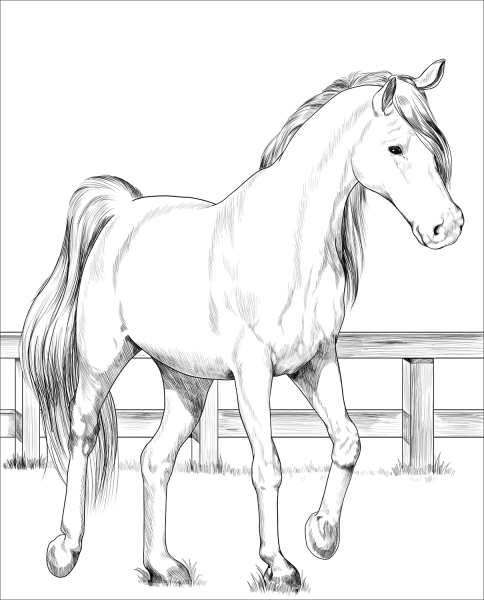 Trakehner horse coloring page image
