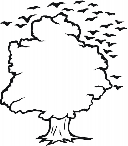 Tree and Birds Outline  coloring page image