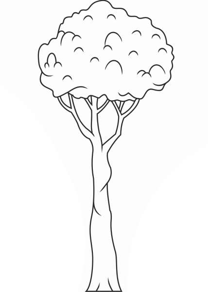 Tree coloring page image
