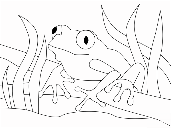 Tree Frog coloring page image