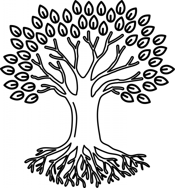 Tree of Life coloring page image