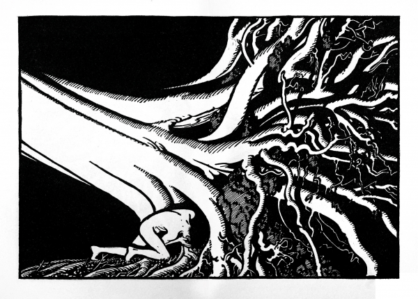 Tree Roots coloring page image