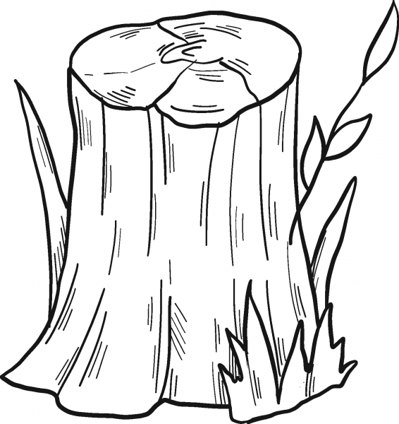 Tree Stump coloring page image