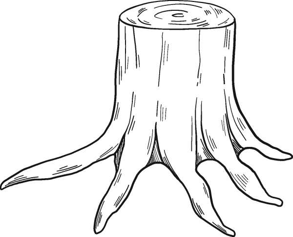 Tree Stump coloring page - ColouringPages