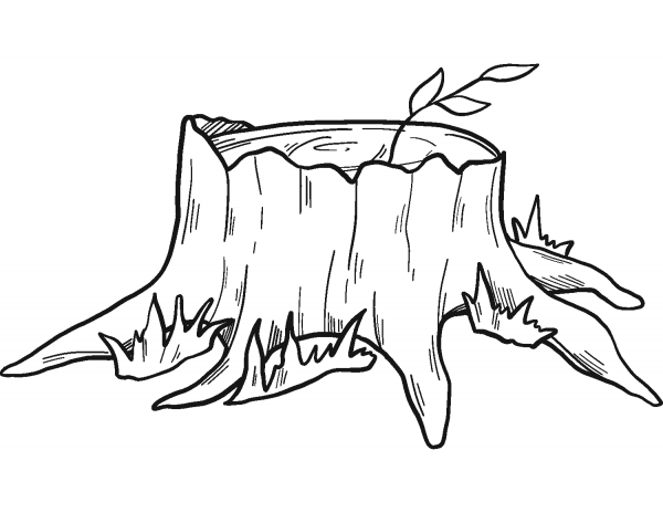 Tree Stump coloring page image