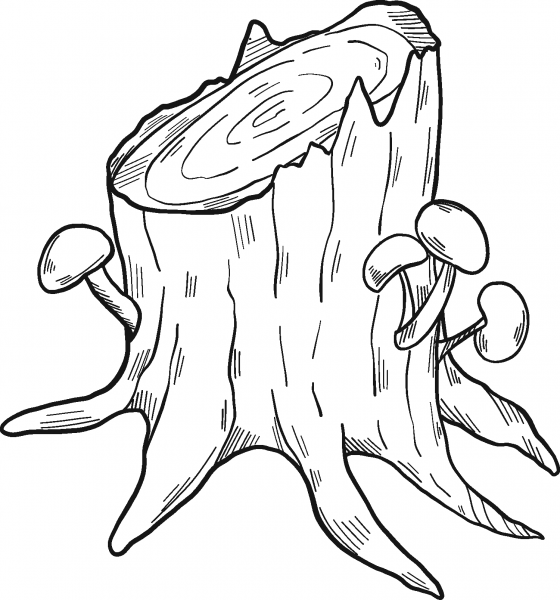 Tree Stump coloring page image