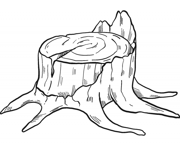 Tree Stump coloring page image