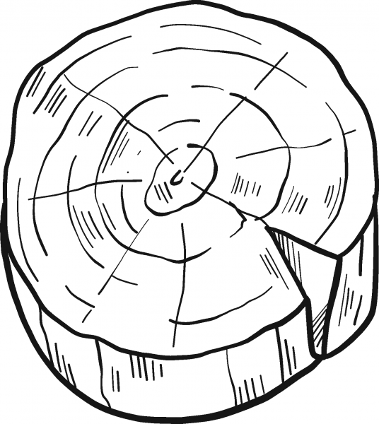 Tree Stump coloring page image