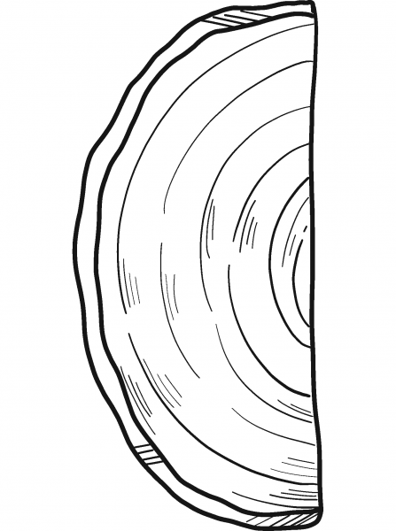 Tree Trunk coloring page image