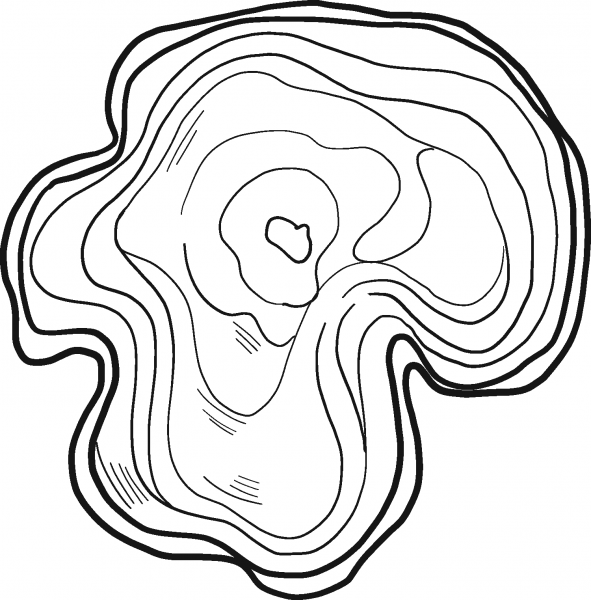Tree Trunk coloring page image