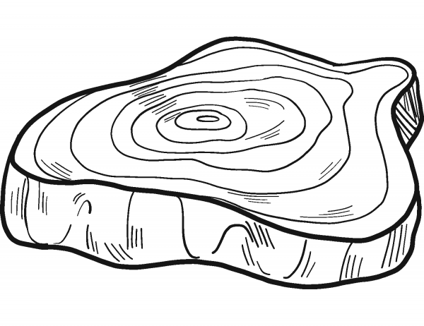 Tree Trunk coloring page image