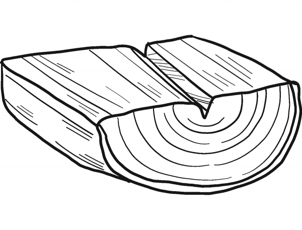 Tree Trunk coloring page image