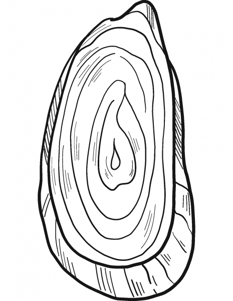 Tree Trunk coloring page image
