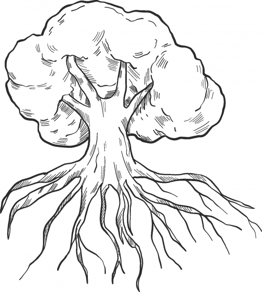 Tree with Roots coloring page image