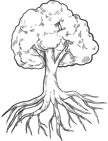 Tree with Roots coloring page image