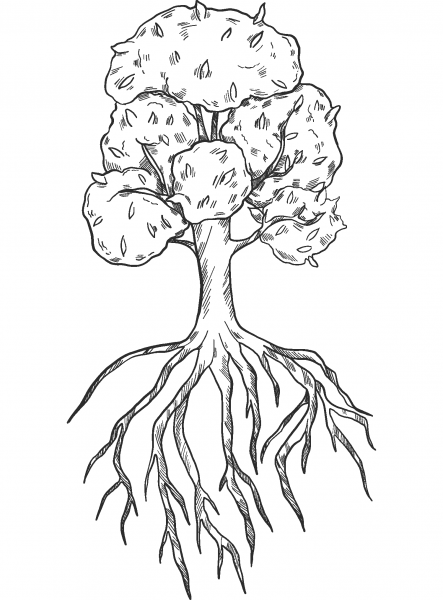 Tree with Roots coloring page image