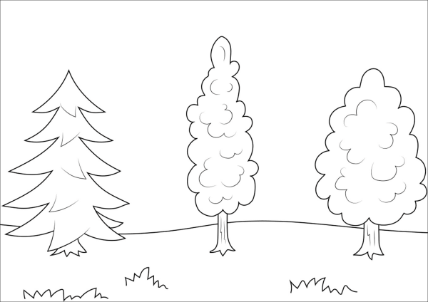 Trees coloring page image